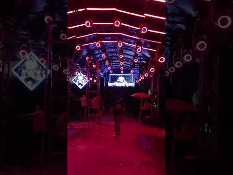 Depredador discomovil el animal de el salvador desde San Antonio Masahuat La Paz