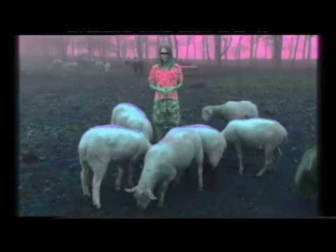Bleating Apocalypse: Eat Wood Glue OFFICIAL MUSIC VIDEO