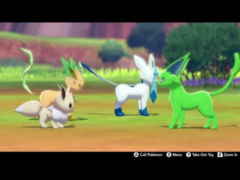 I open up camp and chaos ensues