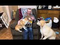 March 2024 Barkbox