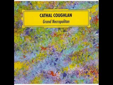 Cathal Coughlan - The Big Lukewarm