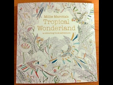Tropical Wonderland by Millie Marotta