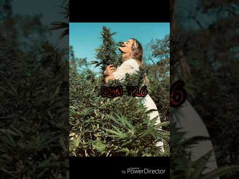 SBN726 - Maria ft. Dud marley, Early, Soyti Boonk, Deadd Kidd, Pitt (official Audio)