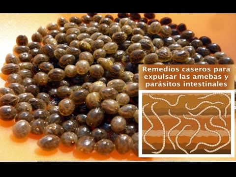 Risposte di carbonato di sodio di vermi Mezzi da parassiti vermoks