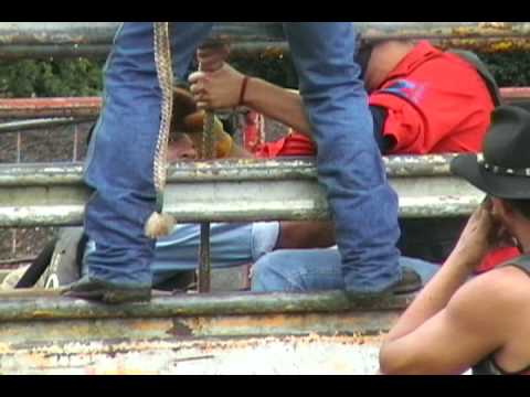 montaris Douglas barreto x xodo