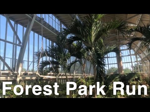 Forest Park Run / 07/13/19