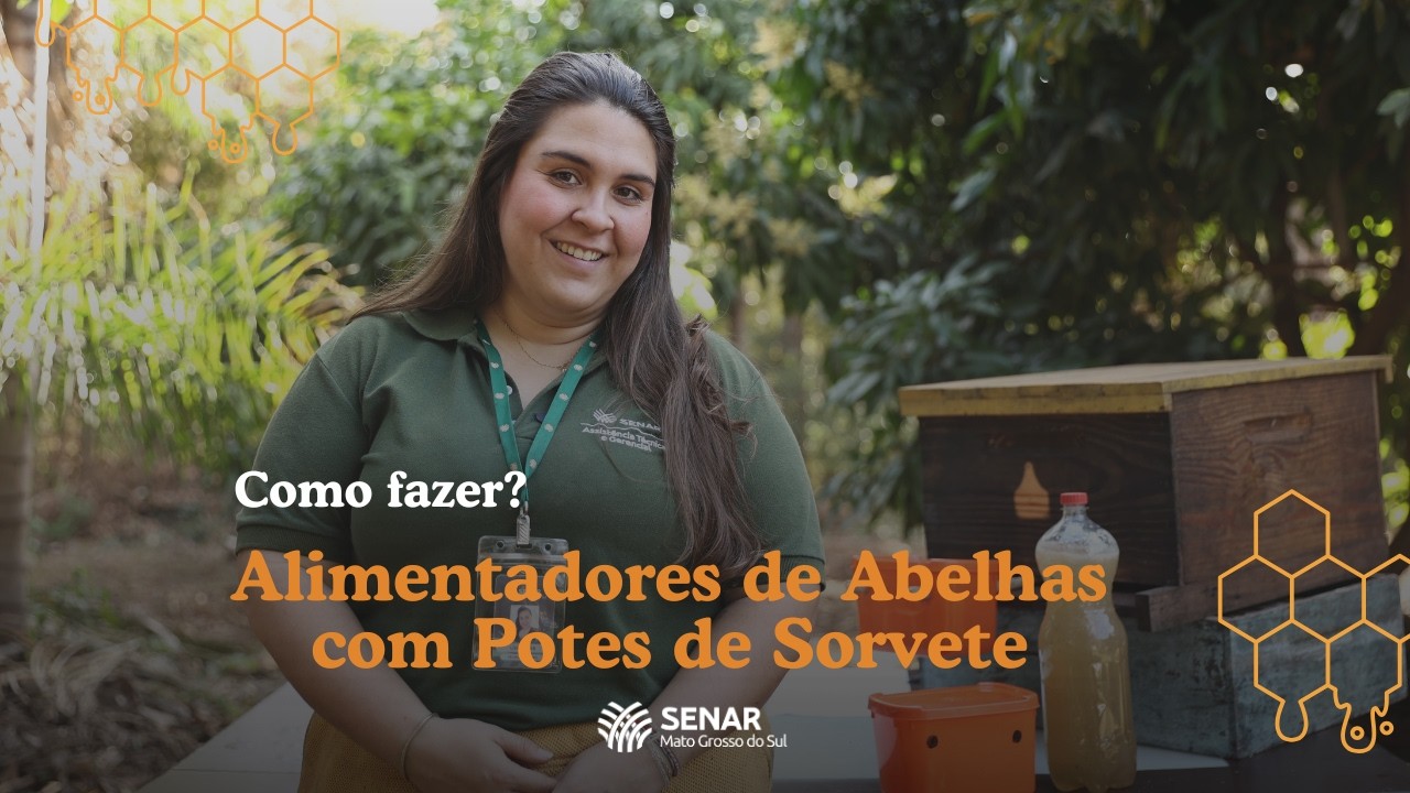 Alimentador para Abelhas Caseiro | Aprenda com o Senar/MS