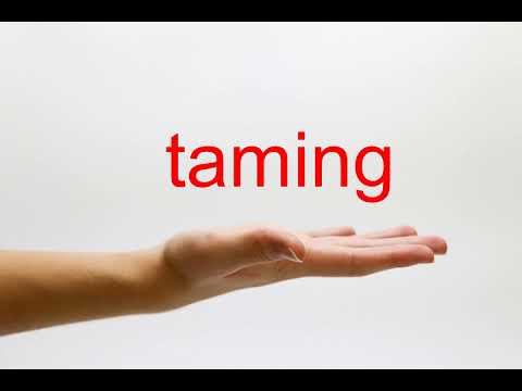 How to Pronounce taming - American English