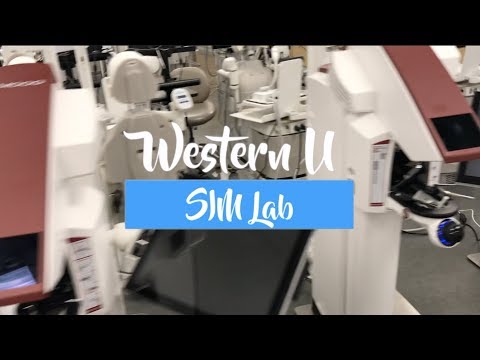Westernu Dental School Sim Lab
