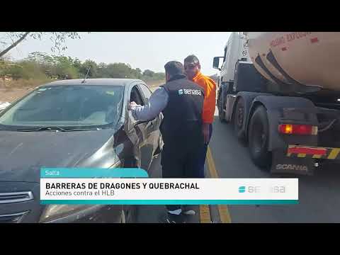 Salta: Barreras fitosanitarias contra el HLB