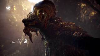 モンスターハンターワールド生放送