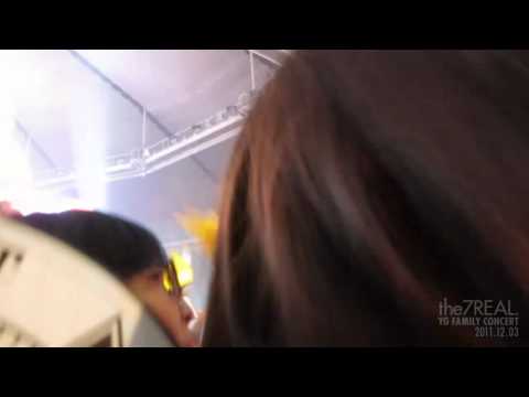 [DS-cam] 111203 YG Family Concert - Hands Up