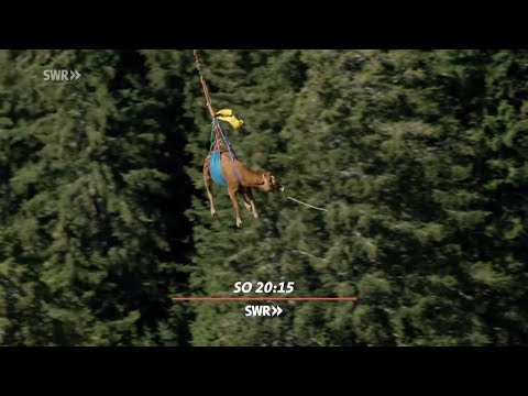 SWR Doku: Schweiz-Panorama in Luftbildern