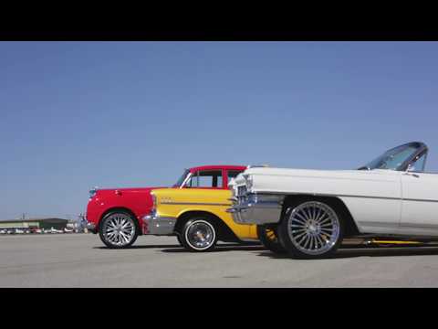 SpeO - Palm Tree Dynasty