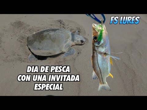 DIA DE PESCA CON INVITADA INESPERADA