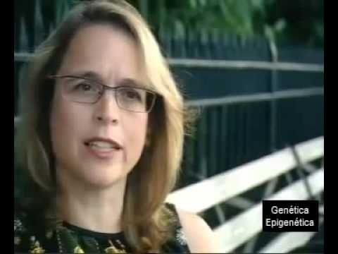 EPIGENÉTICA  LA NUEVA REVOLUCIÓN BIOLÓGICA