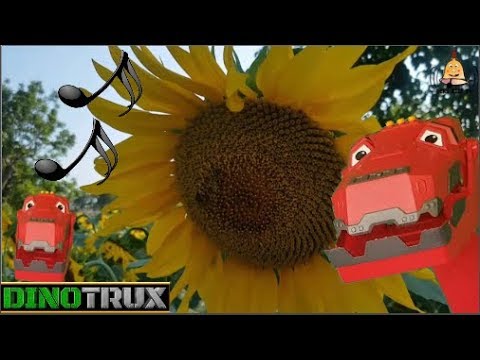 Dinozor Makineler-Ty-Rex Şarkı Söylüyor-Dinotrux Sing a Mary Had a Little Lamb in Sunflower
