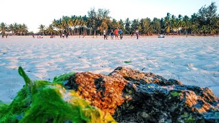 preview picture of video 'Keindahan Pulau Sumba (Pantai Walakiri)'