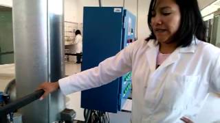 Uso de higuerilla para la elaboración de Biodiesel