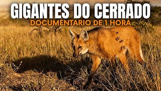 GIGANTES LETAIS DO CERRADO: Predadores Esquecidos Que Dominam o Interior do Brasil