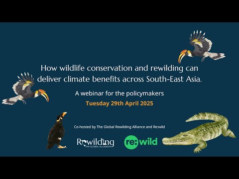 Rewilding: a Powerful Climate Solution for South-East Asia