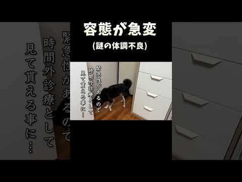 容態が急変