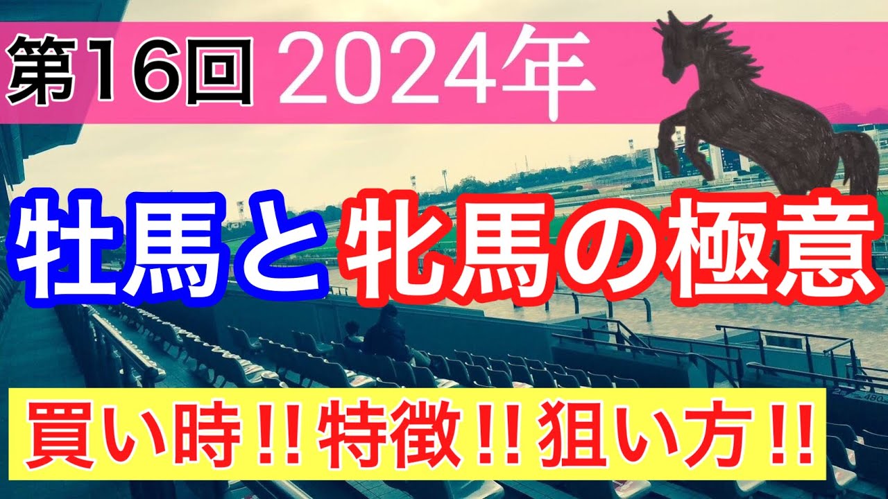 【必見‼︎牡馬と牝馬の極意】競馬予想(第16回講義)