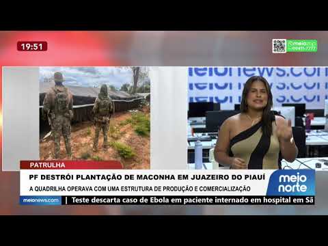 PF destrói plantação de maconha em Juazeiro do Piauí | Patrulha