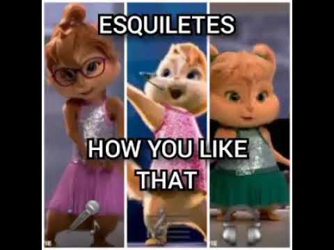 BLACKPINK HOW YOU LIKE THAT BY COVER ESQUILETES🎧🎼🎤💎
