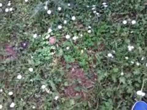 The Jurney of Lutin Family part 01