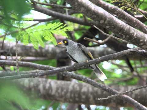 Louis Armstrong Oh! Didn't He Ramble