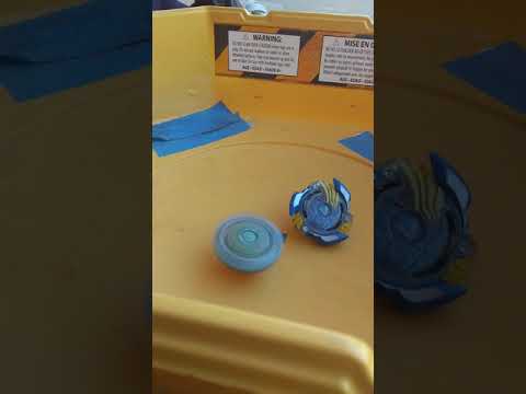 King kerbeus T.P VS Victory valkyrie B.V