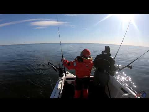 Laxtrolling Vänern April 2020