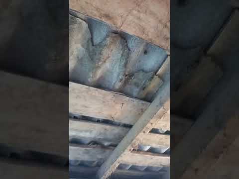 НАЧАЛО СТРОЙКИ/ДЕРЕВЕНСКАЯ ЖИЗНЬ/ДОМ В ДЕРЕВНЕ 🏡