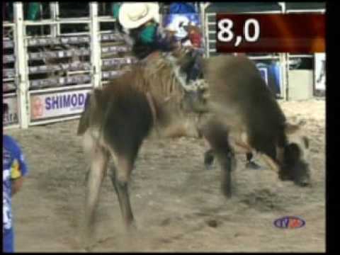 OURO FINO MELHOR NOTA DA NOITE DE 5 FEIRA Rovilson 2016