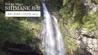 视频缩略图