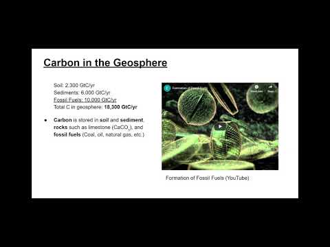 Unleash Creativity With Customizable Carbon Cycle Templates