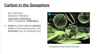 Piety-Copy of Session 8 - Carbon Cycle (Template) - Google Slides