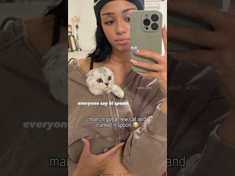 manon got a new cat called spoon omg 😭 #katseye