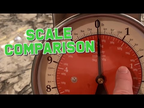 Review of Taylor Mechanical Kitchen Weighing Food Scale Weighs up to 11lbs, Measures in Grams