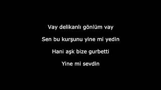 Veysel Mutlu - Vay delikanlı gönlüm | şarkı sözleri