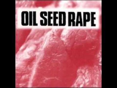 Oil Seed Rape - Bed Sore