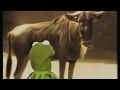 Kermit S Lecture On Horns HQ