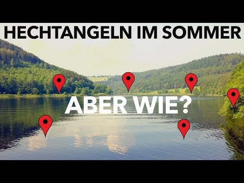 HECHTANGELN im HOCHSOMMER - meine 5 besten Tipps | Fishing-King.de