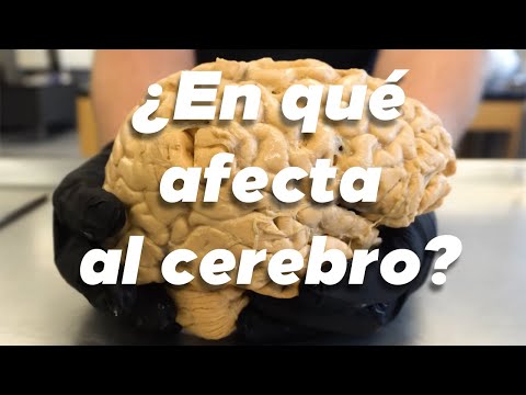 ¿Por qué DORMIR es tan IMPORTANTE Y NECESARIO?