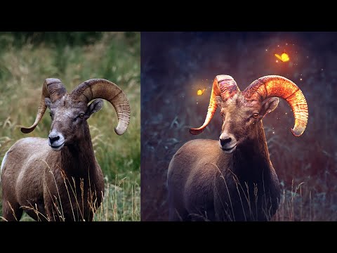 Neon Glow Effect Portrait Photoshop Tutorial