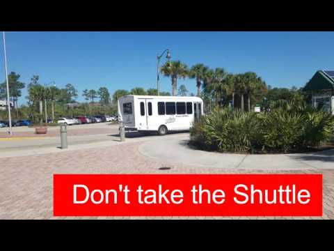 Movement and Physical Activity