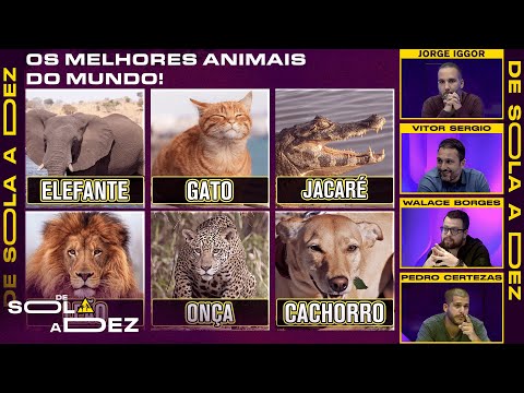 QUAL É O MELHOR ANIMAL DO MUNDO? CRAVAMOS! | DE SOLA A DEZ