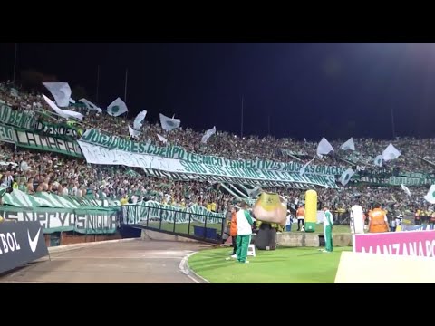 "Sírvame cerveza, sírvame más guaro" Barra: Los del Sur &bull; Club: Atlético Nacional