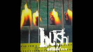 Bush - Old (EP Greedy Fly 1997)
